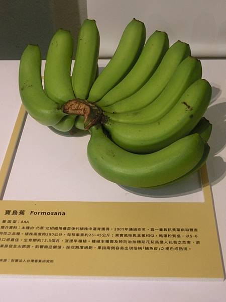 raw-image