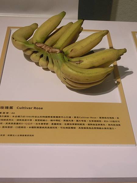 raw-image