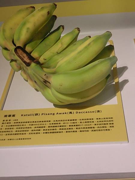 raw-image