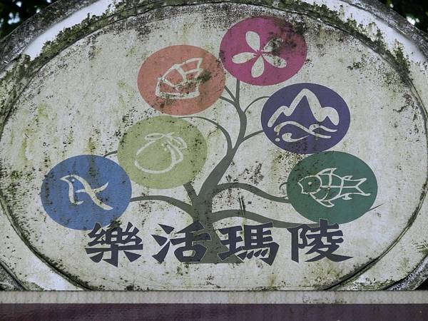 raw-image
