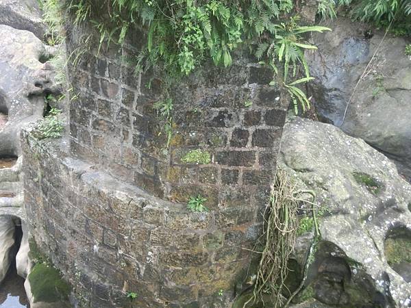 raw-image
