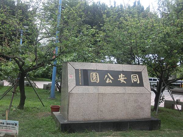 raw-image
