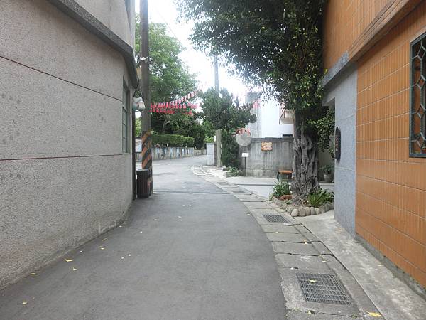 raw-image