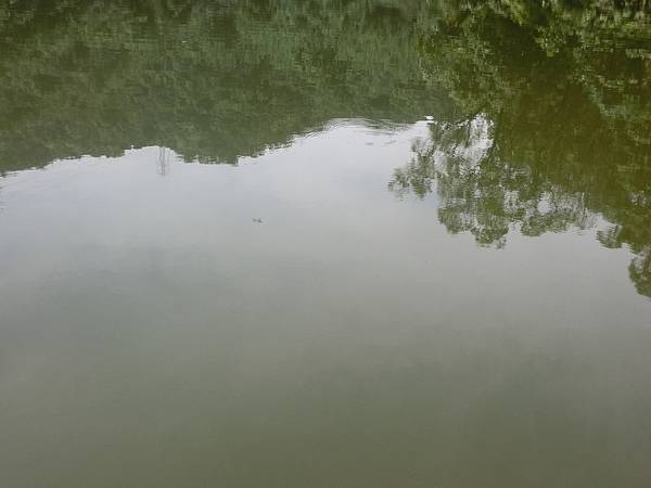 raw-image