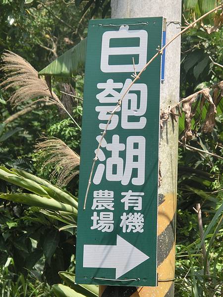 raw-image