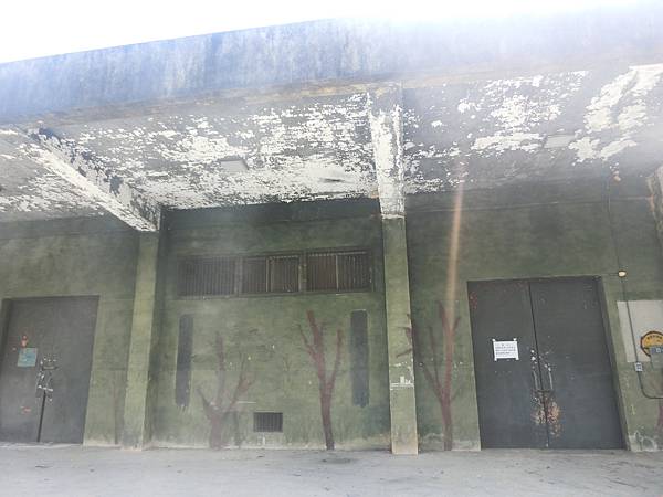 raw-image