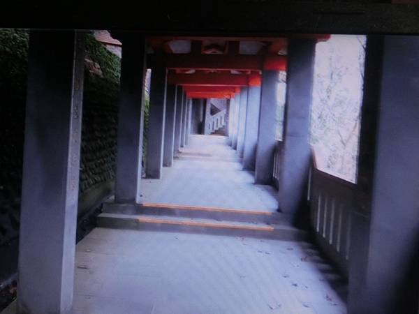 raw-image