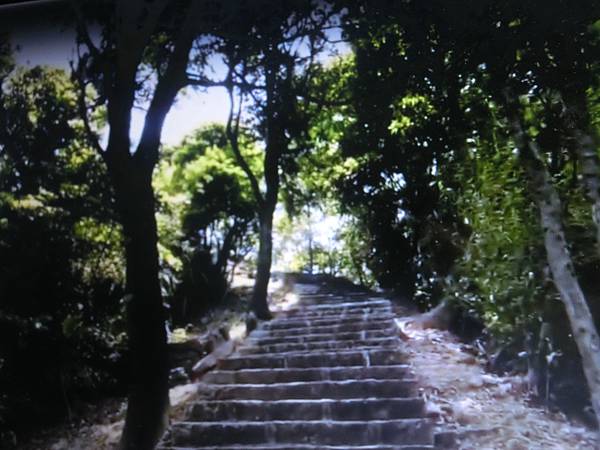 raw-image