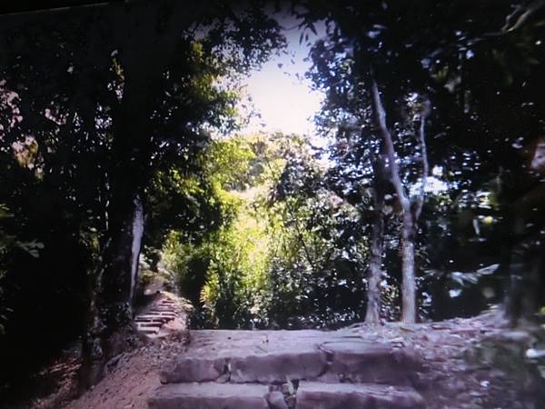 raw-image