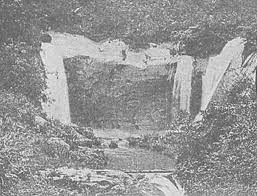 raw-image