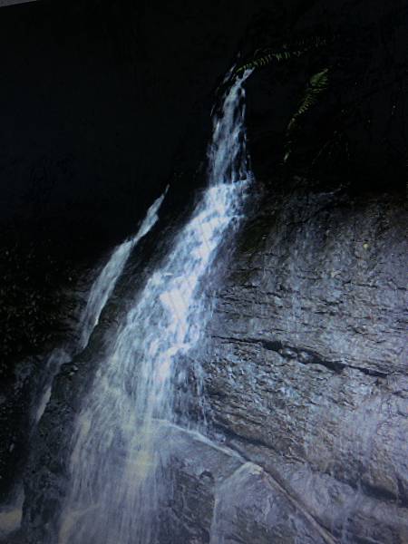 raw-image