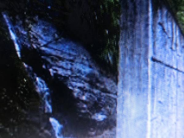 raw-image
