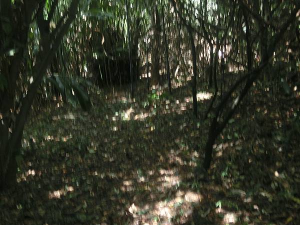 raw-image