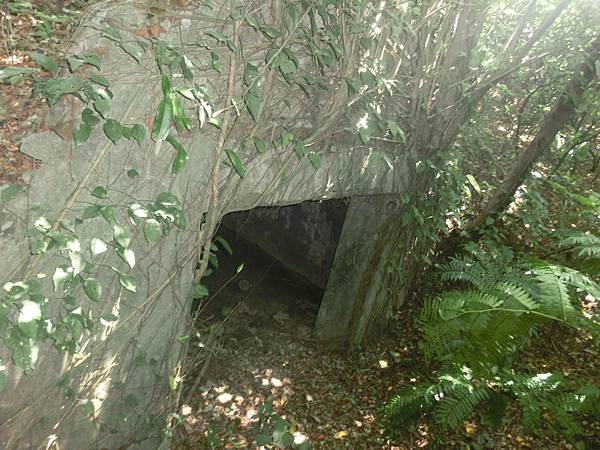 raw-image