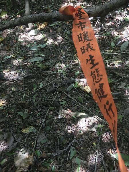 raw-image