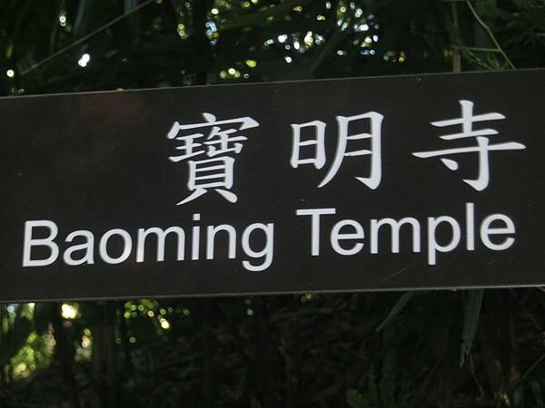 raw-image