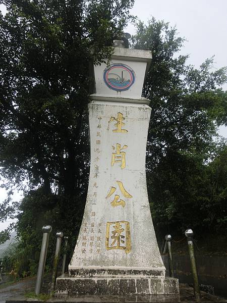 raw-image