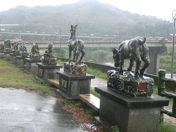 raw-image