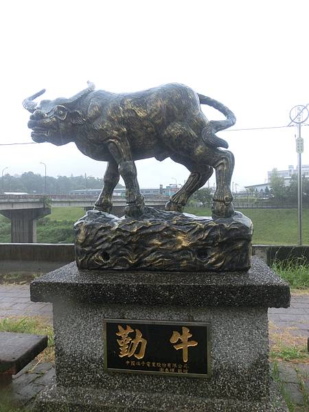 raw-image