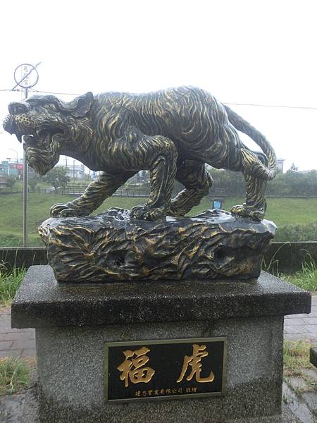 raw-image