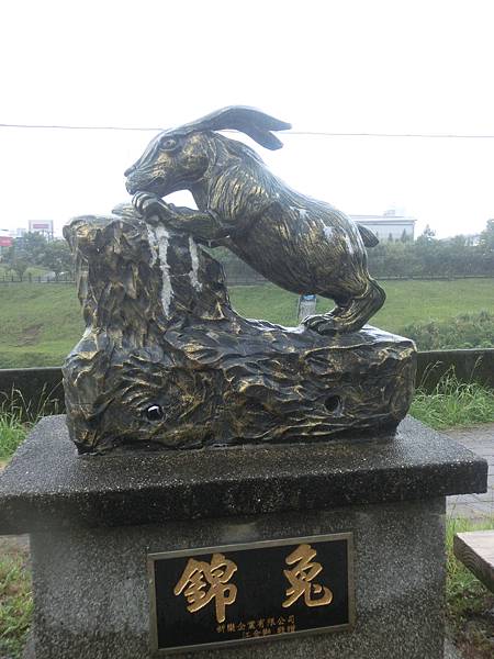 raw-image