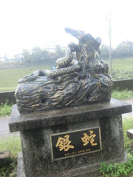 raw-image