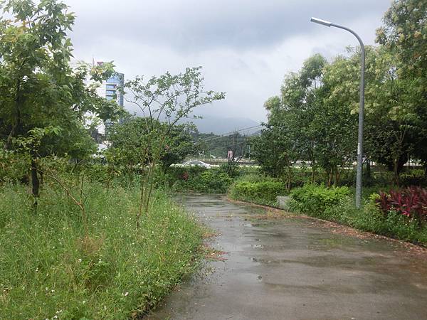 raw-image