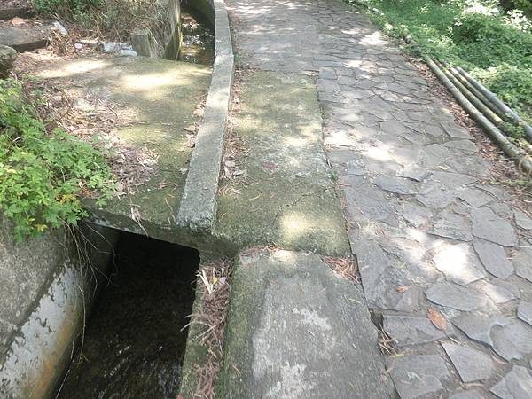 raw-image
