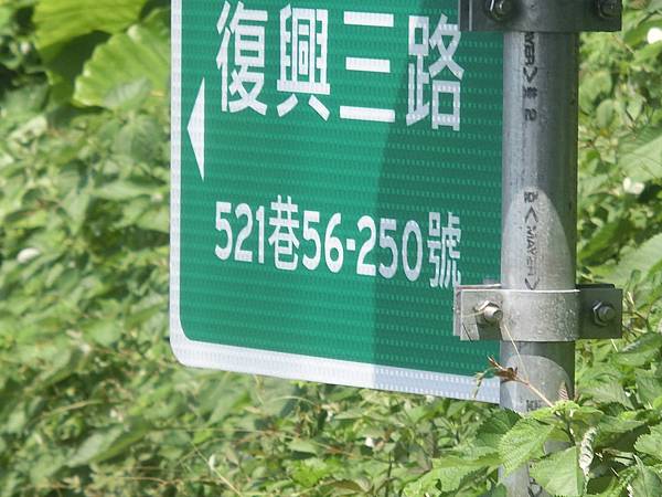 raw-image