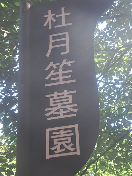 raw-image