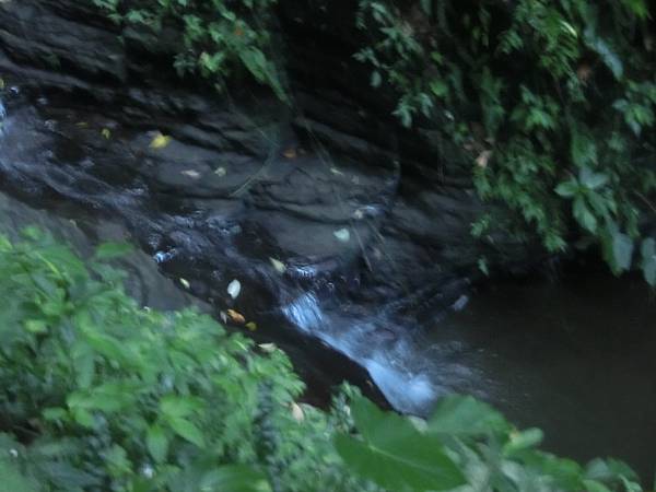 raw-image