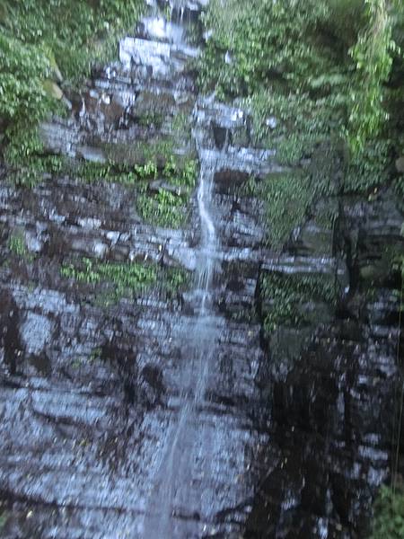 raw-image