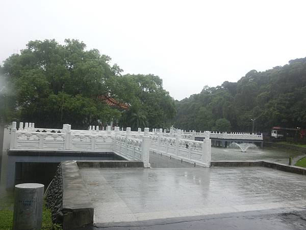 raw-image