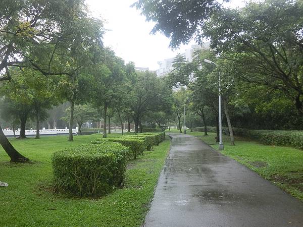 raw-image