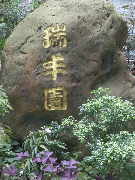 raw-image