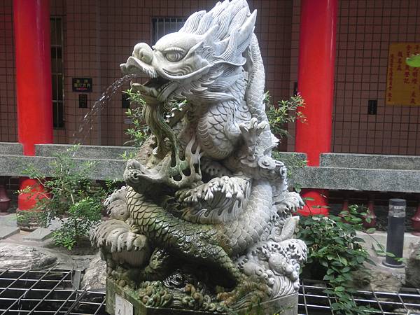 raw-image