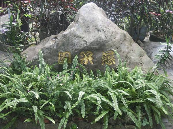 raw-image