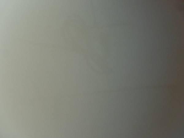 raw-image
