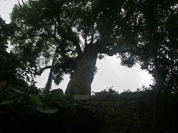 raw-image
