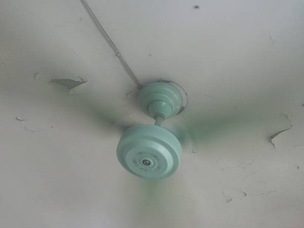 CIMG1510.JPG CIMG1510.JPG