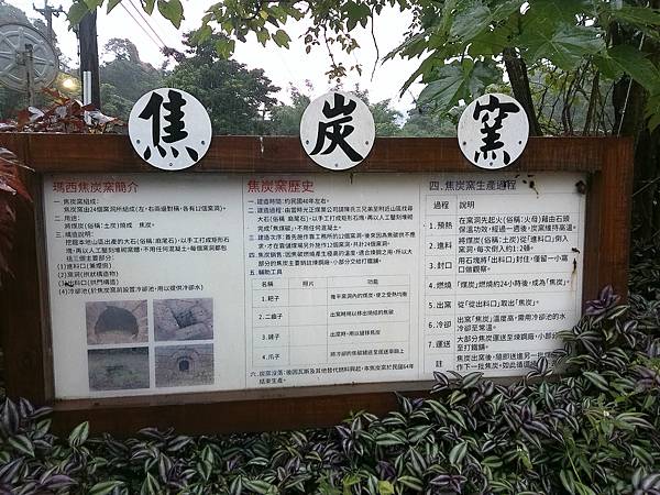 raw-image
