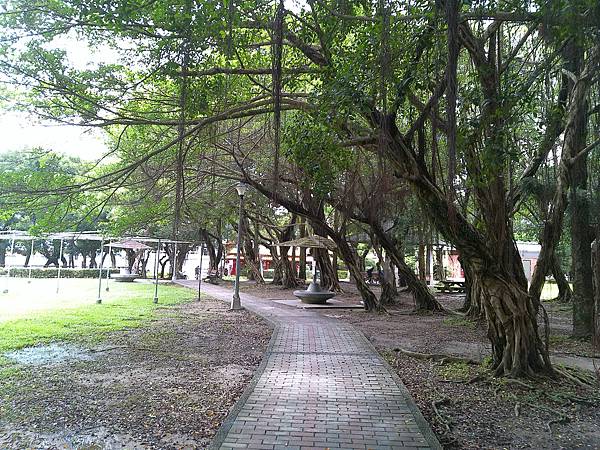 raw-image