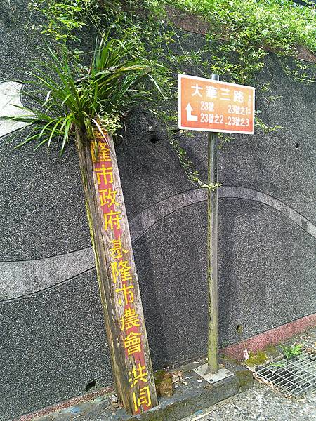 raw-image