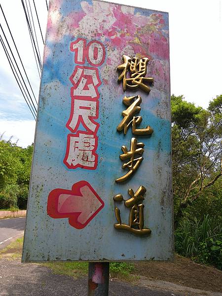 raw-image