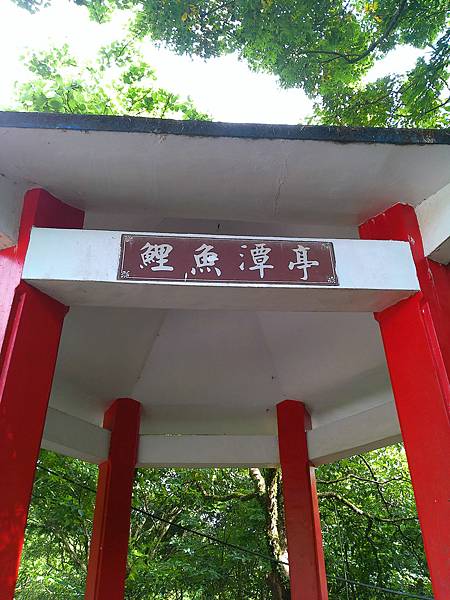 raw-image