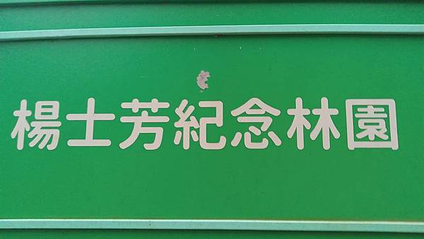 raw-image