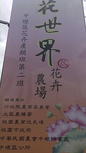 raw-image