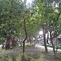 raw-image