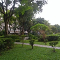 raw-image