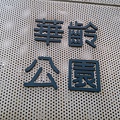 raw-image